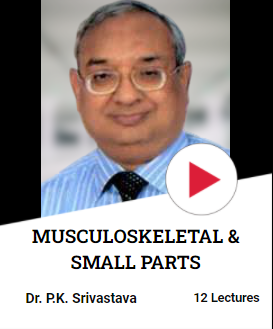 musculoskeletal and small parts ultrasound