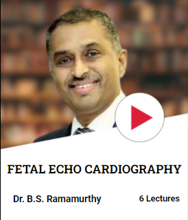 stic fetal echocardiography mentor
