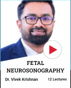 fetal neurosonography