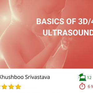 basics of 3d/4d ultrasound