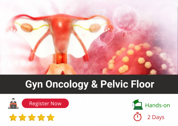 Gynecology Oncology & Pelvic Floor Ultrasound