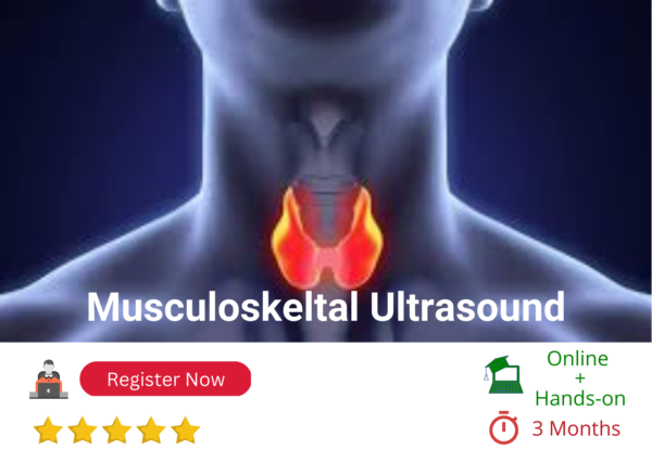 MSK Ultrasound Online and Hands-on (Blended Learning)