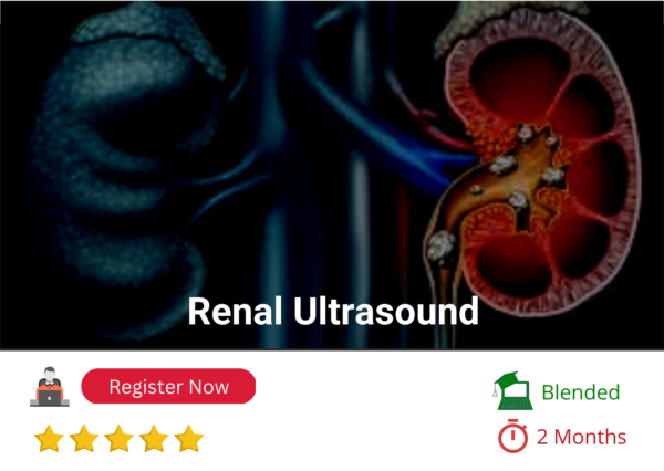 Renal Ultrasound